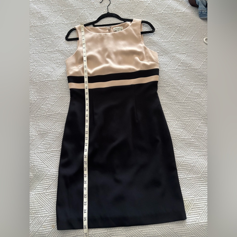 Ann Taylor Tan and Black Triacetate Sheath Dress - Picture 7 of 7